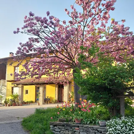 Da Riccardo 农家乐